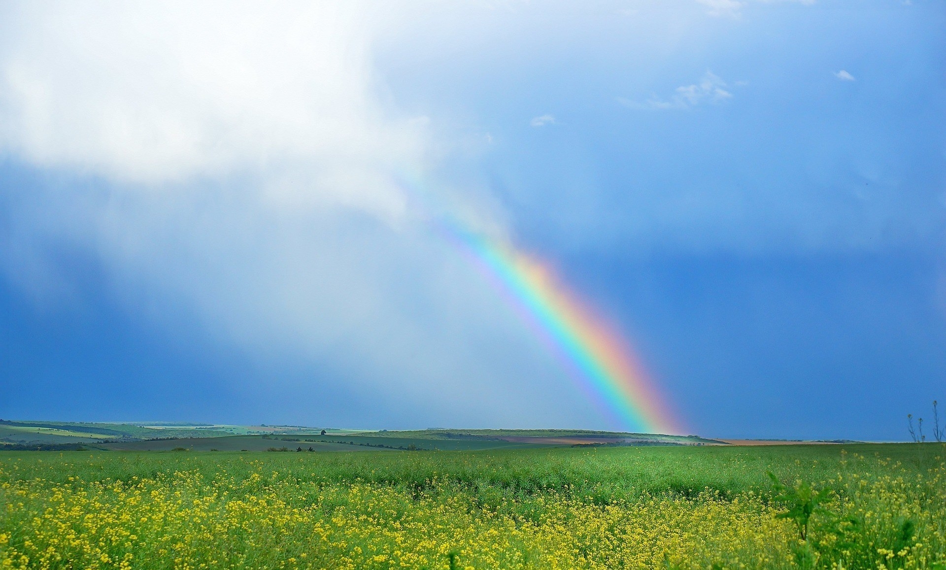 a rainbow over a field of crops