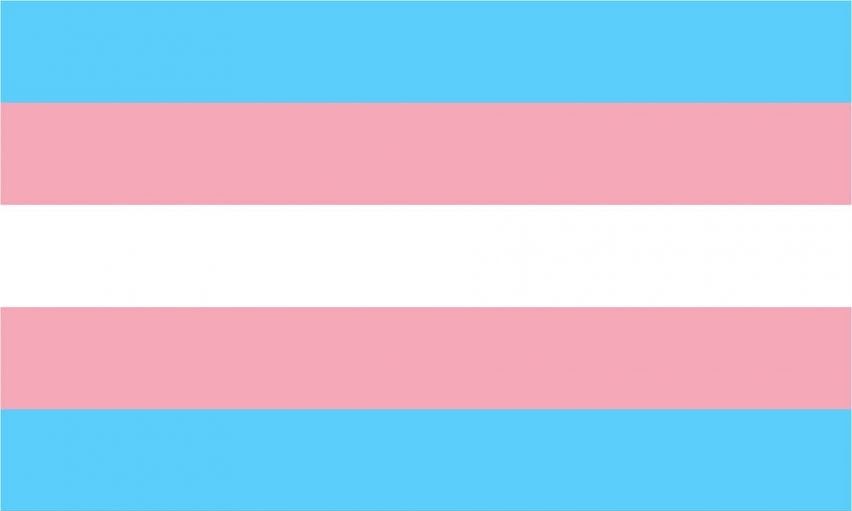 Transgender Flag