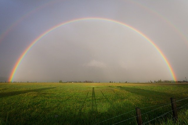 A full rainbow in a field of grass