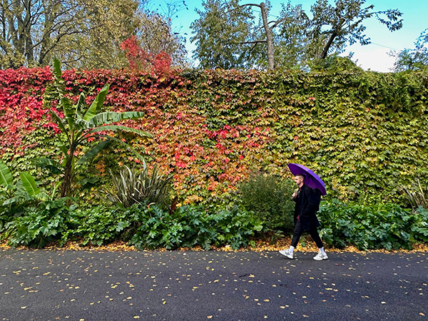 Mark T Cox with his nice umbrella