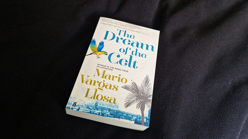 dream of the celt book